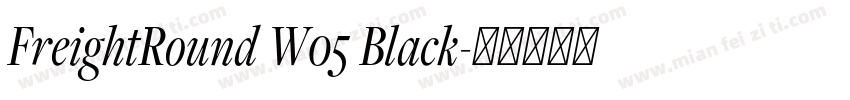 FreightRound W05 Black字体转换